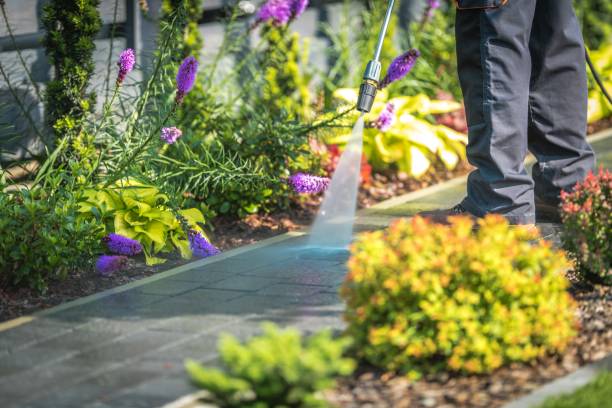 Best Dumpster Area Cleaning  in Westwood, KS